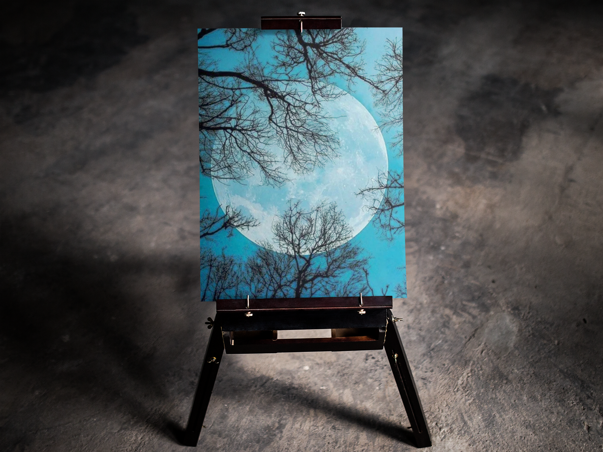 Blue Moon 5D Diamond Art Kit
