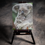 Koala Hug 5D Diamond Art Kit
