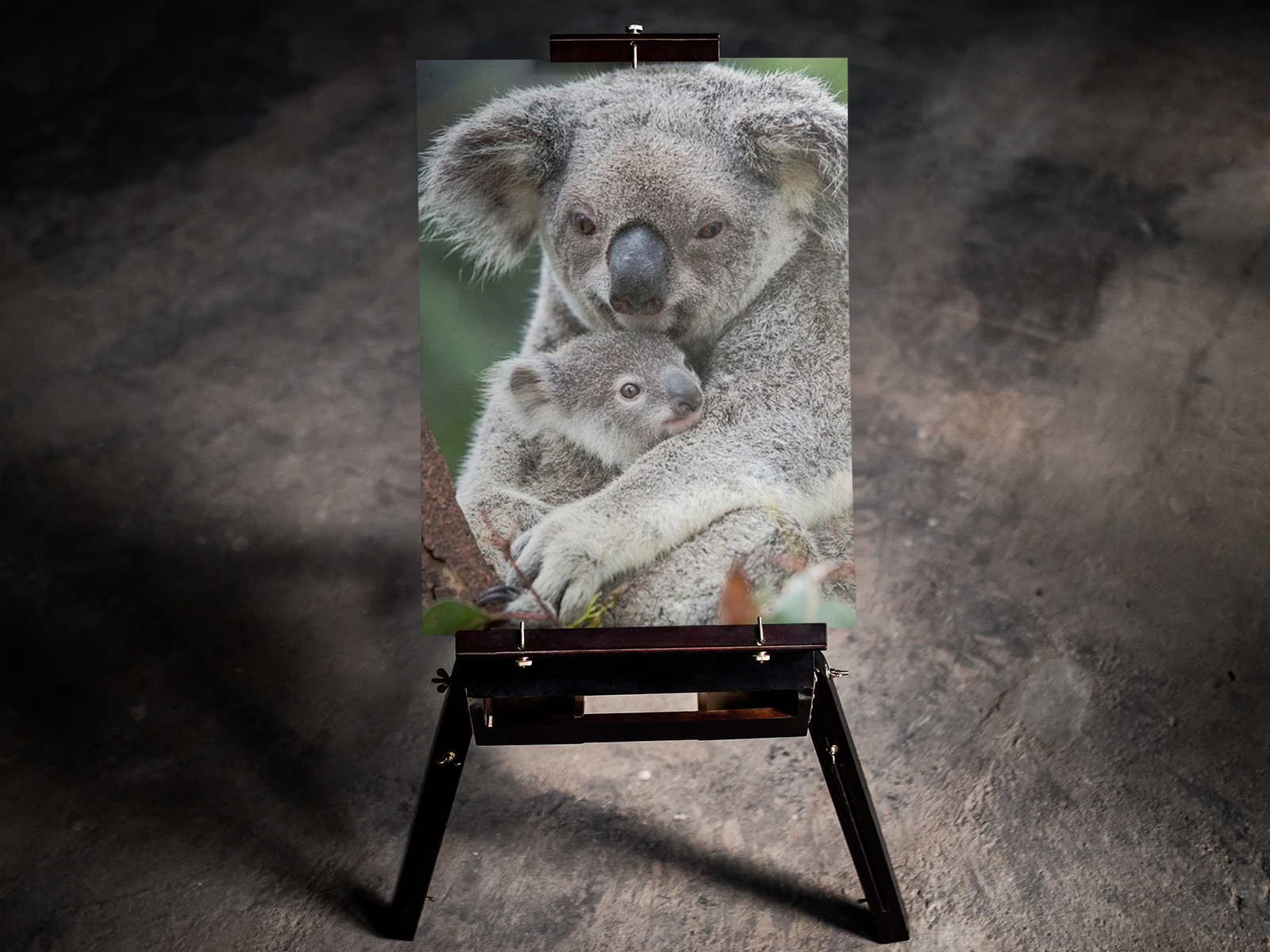 Koala Hug 5D Diamond Art Kit