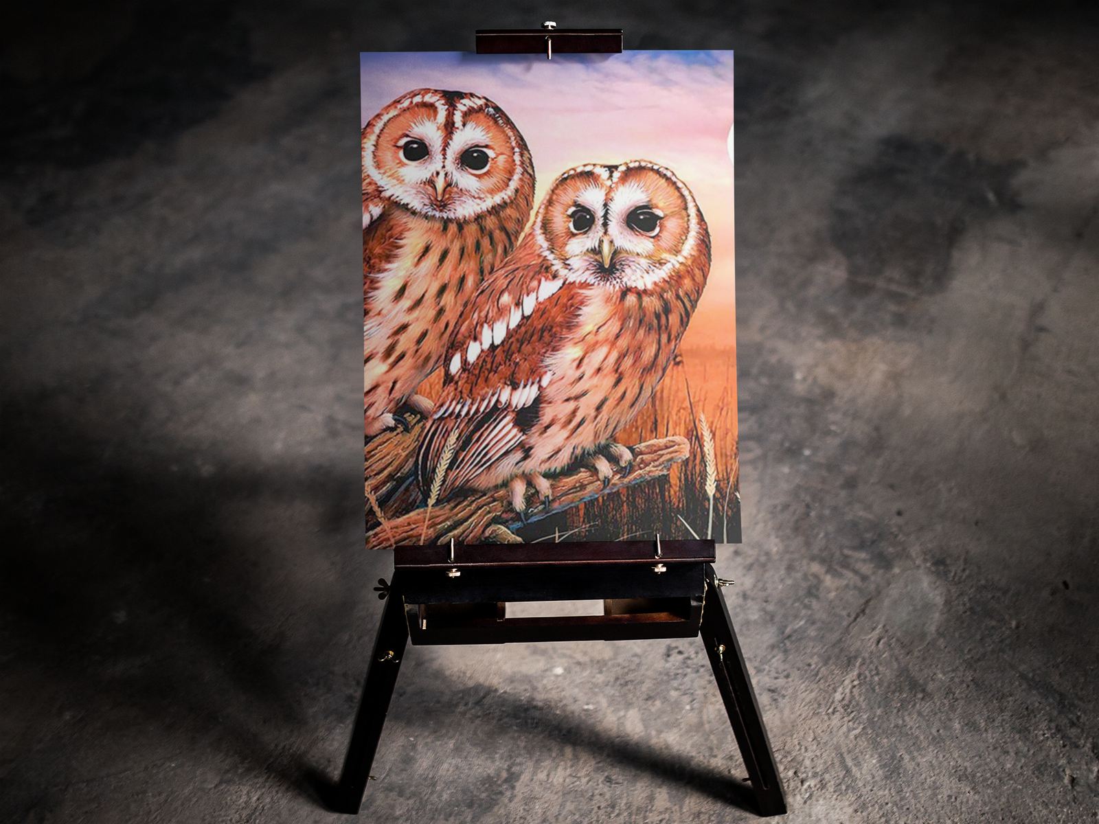 Perched Owl Couple 5D Diamond Art Kit