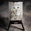 Staring Owl 5D Diamond Art Kit