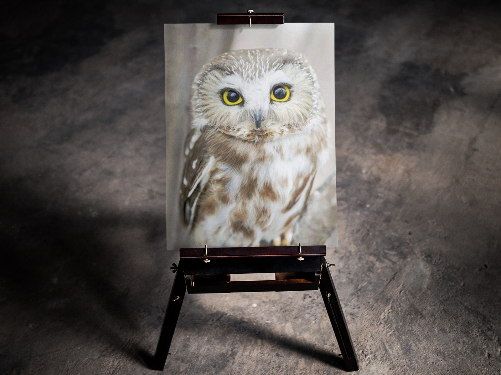 Staring Owl 5D Diamond Art Kit