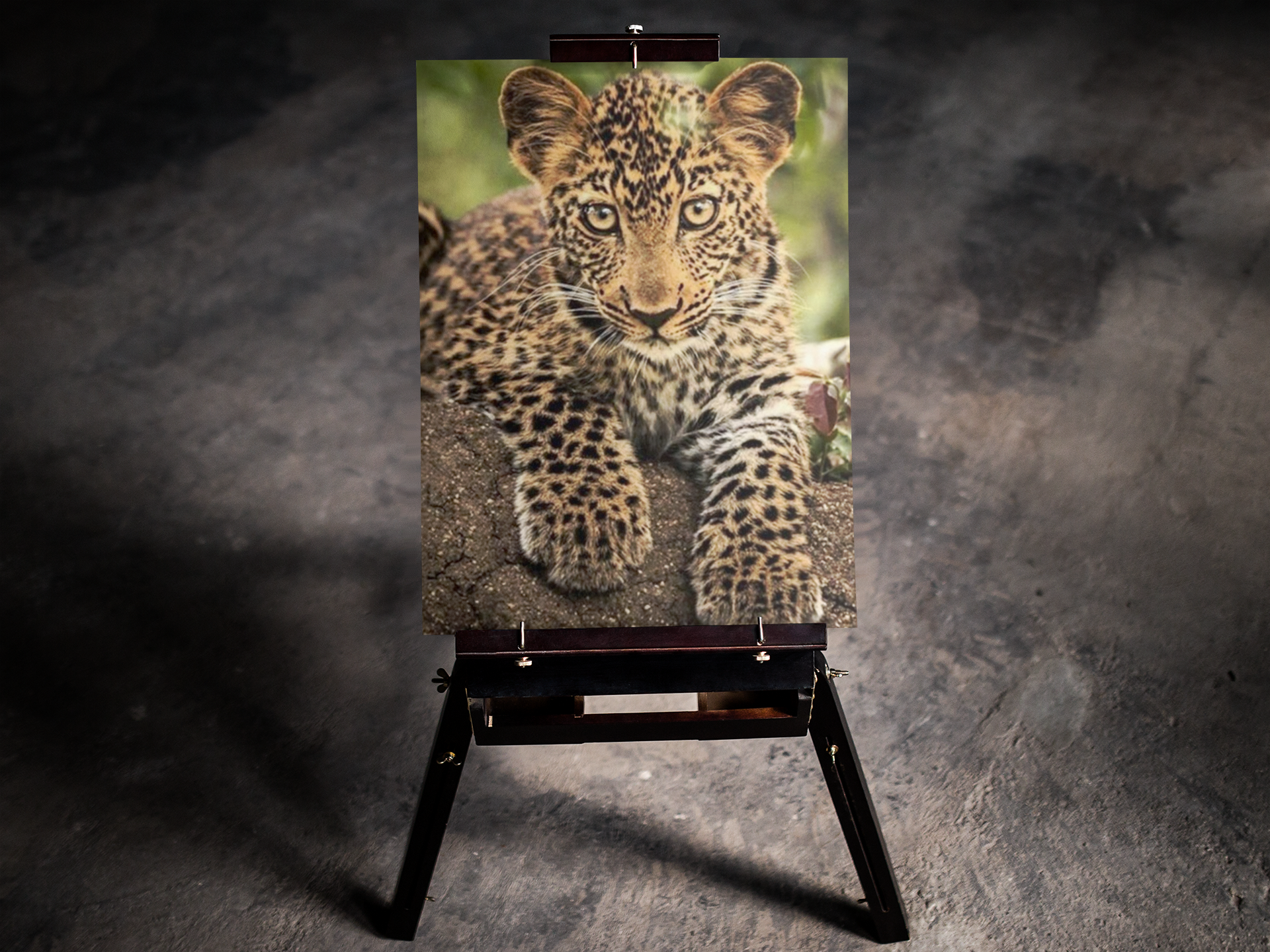 Baby Leopard 5D Diamond Art Kit
