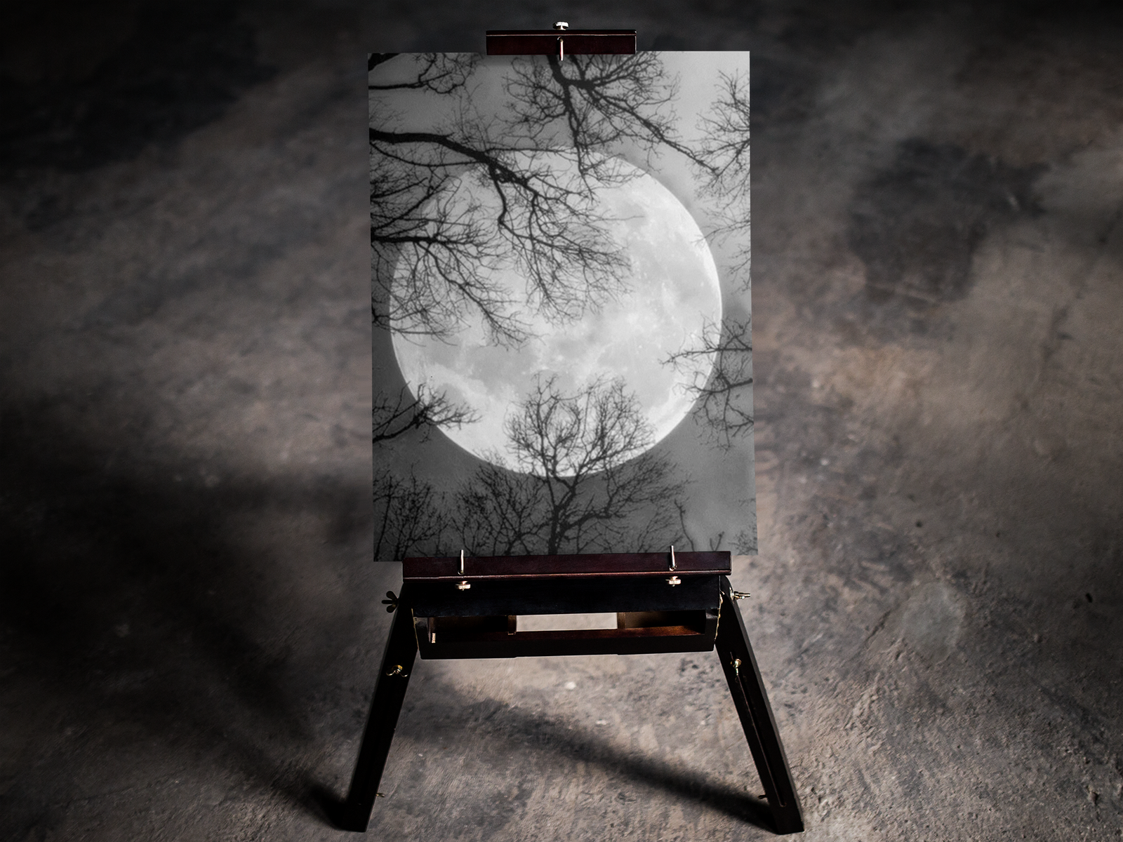 Grayscale Moon 5D Diamond Art Kit