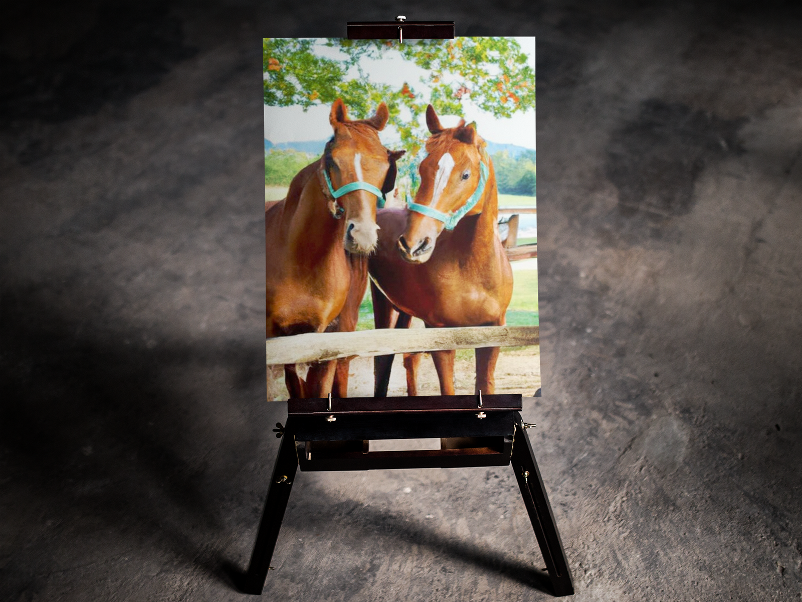 Horse Couple 5D Diamond Art Kit