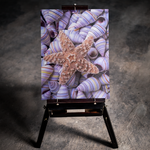 Starfish & Seashells 5D Diamond Art Kit