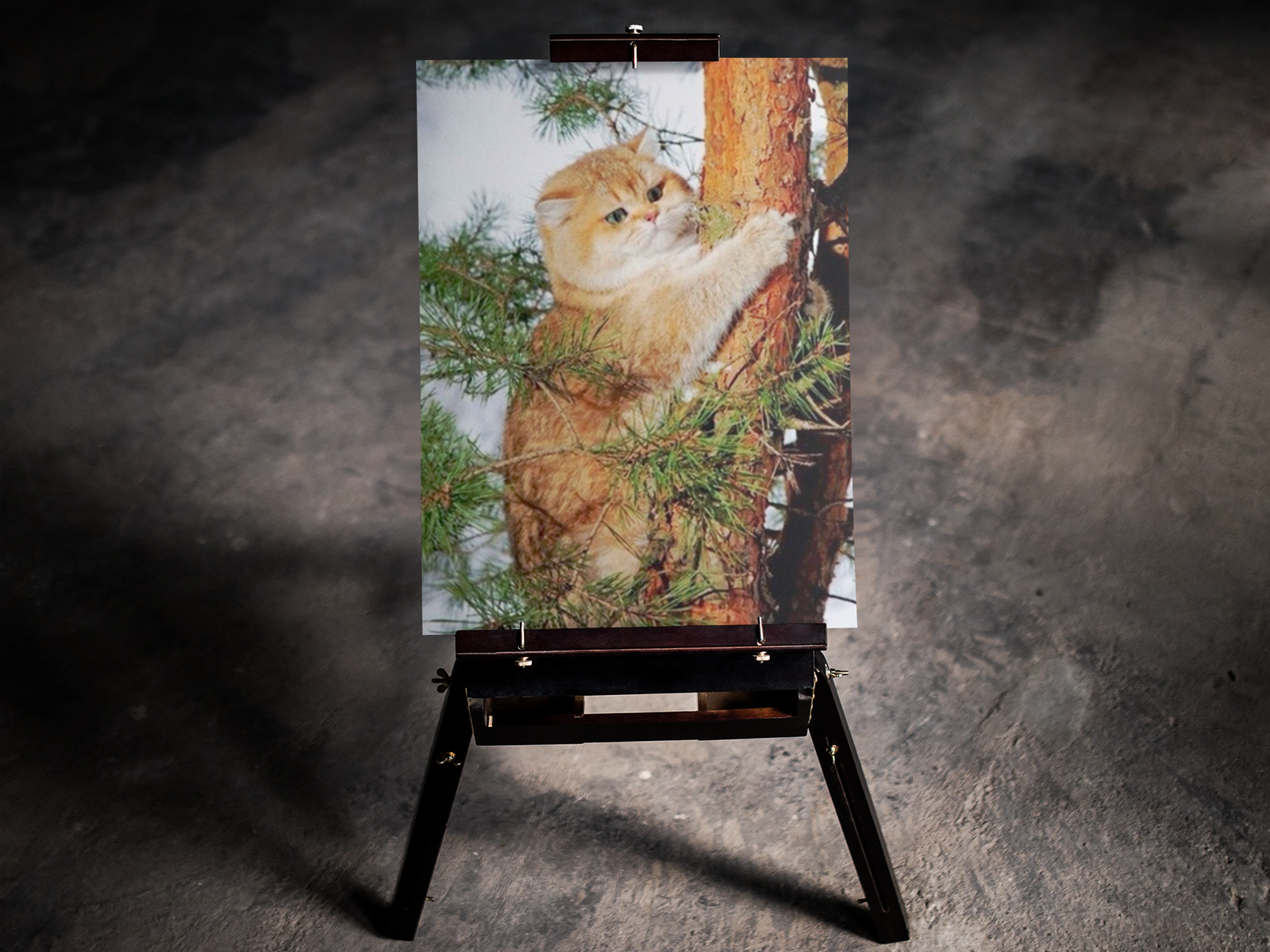 Tree-Hugging Kitty 5D Diamond Art Kit